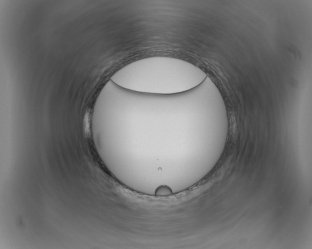 X0000112980042200908270927