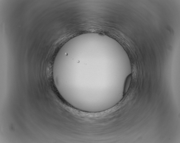 X0000112980043200908270927