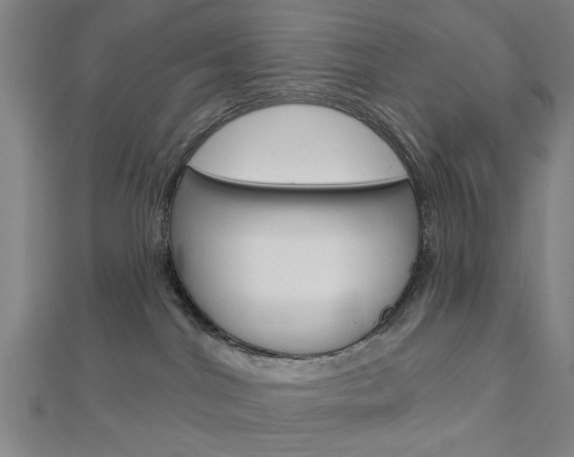 X0000112980044200908270927