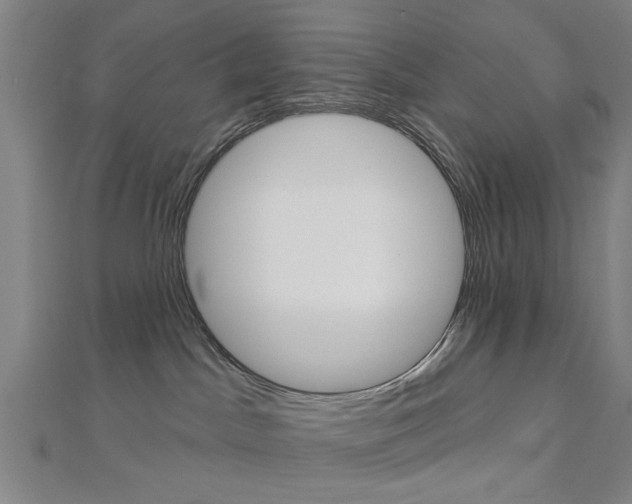 X0000112980045200908270927