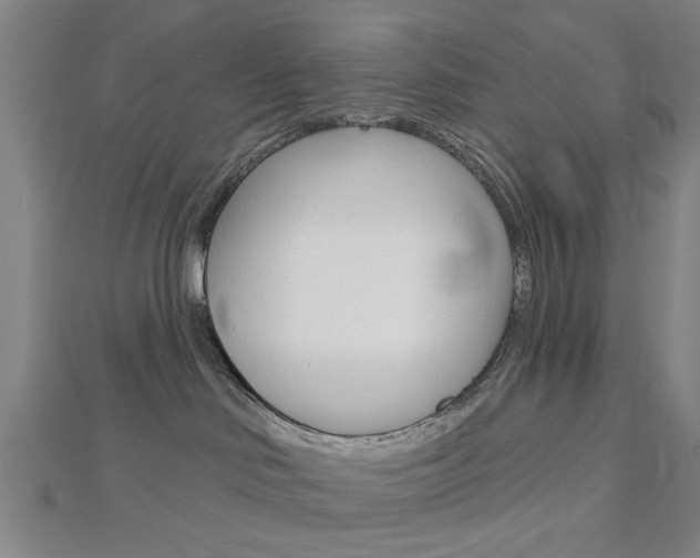 X0000112980046200908270927
