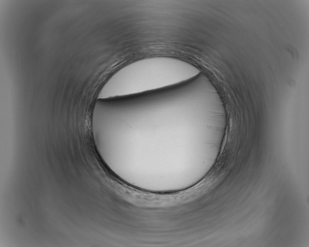 X0000112980048200908270927