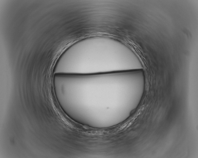 X0000112980049200908270927