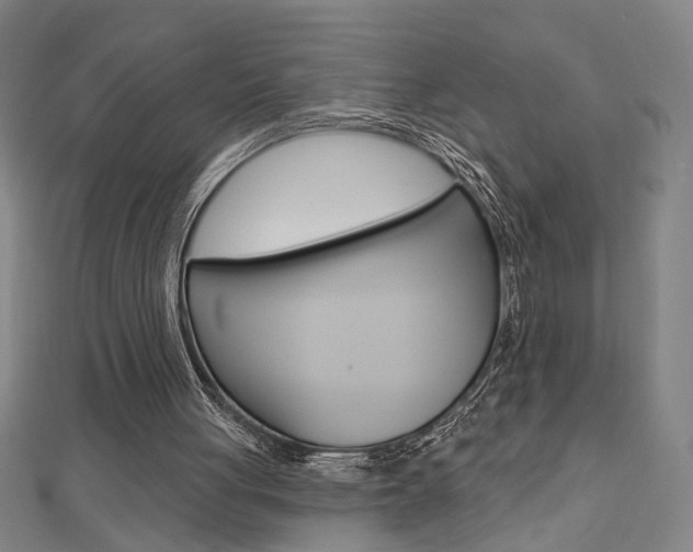 X0000112980051200908270927