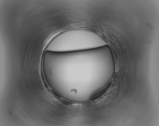 X0000112980052200908270927