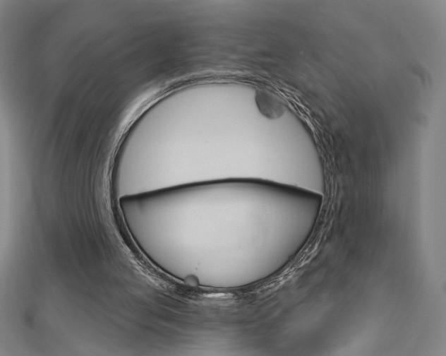 X0000112980053200908270927