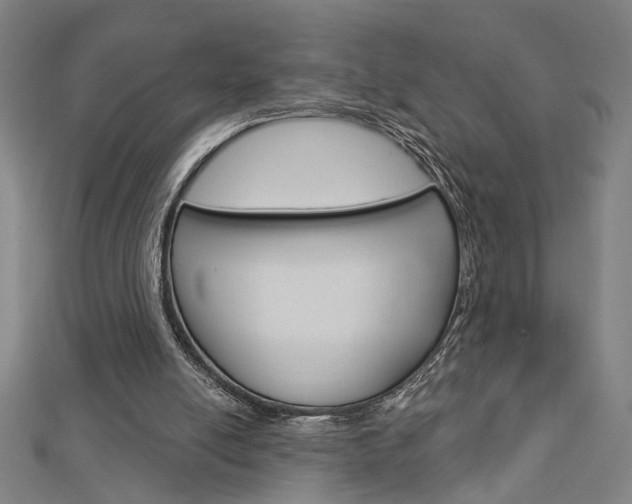 X0000112980054200908270927