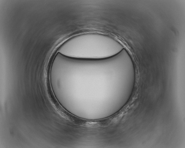 X0000112980055200908270927