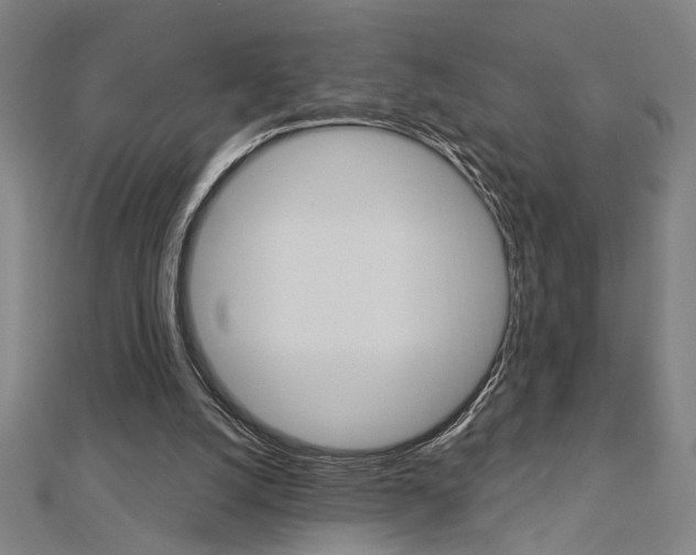 X0000112980056200908270927