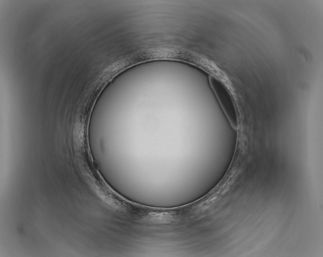 X0000112980057200908270927