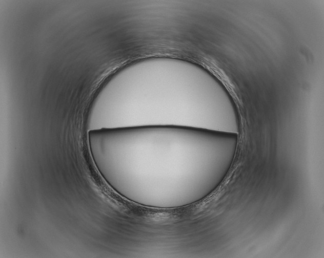X0000112980058200908270927
