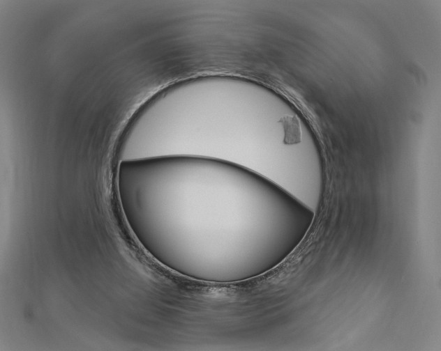 X0000112980060200908270927