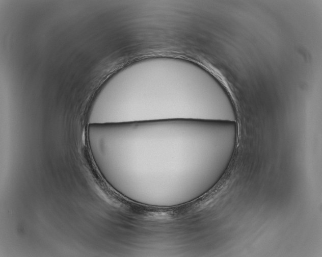 X0000112980061200908270927