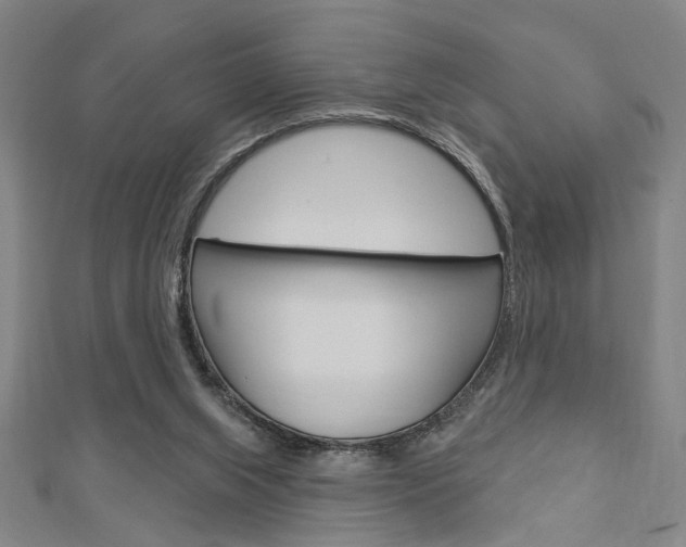 X0000112980063200908270927