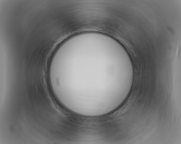 X0000112980064200908270927