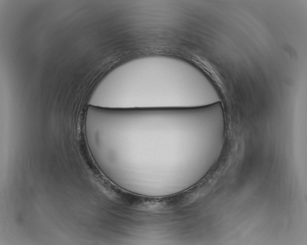 X0000112980065200908270927