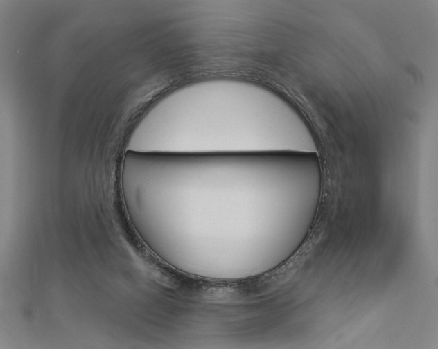 X0000112980066200908270927