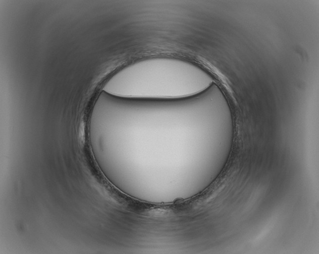 X0000112980067200908270927