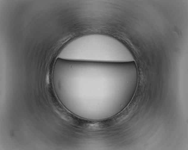 X0000112980068200908270927