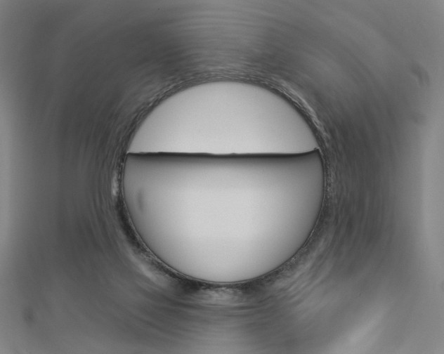 X0000112980069200908270927