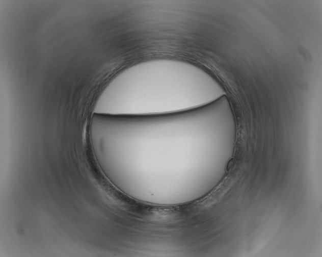 X0000112980070200908270927
