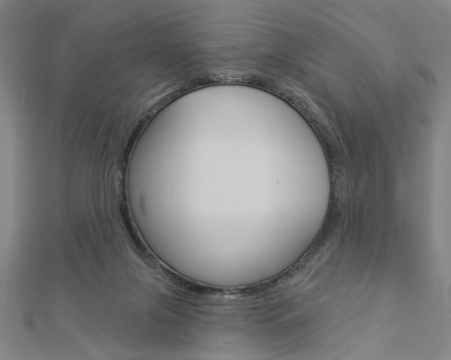 X0000112980071200908270927