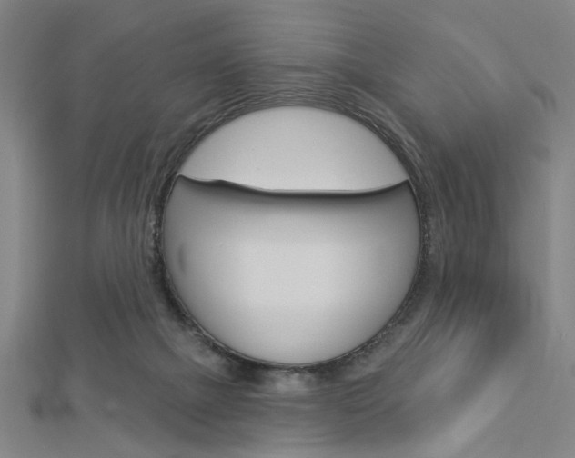 X0000112980073200908270927