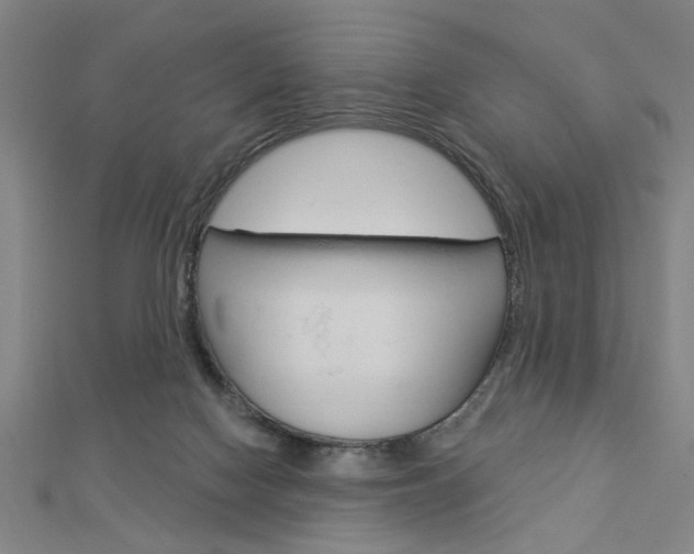 X0000112980074200908270927
