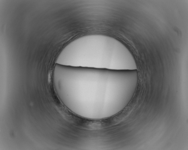 X0000112980075200908270927