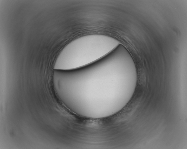 X0000112980077200908270927