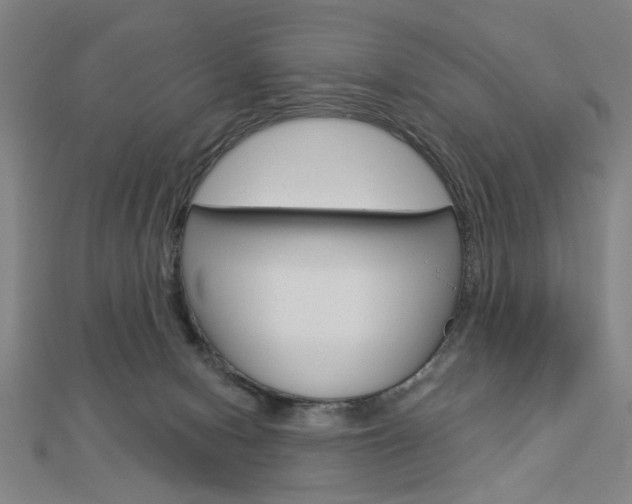 X0000112980078200908270927