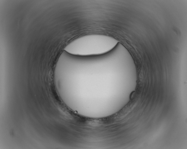 X0000112980079200908270927