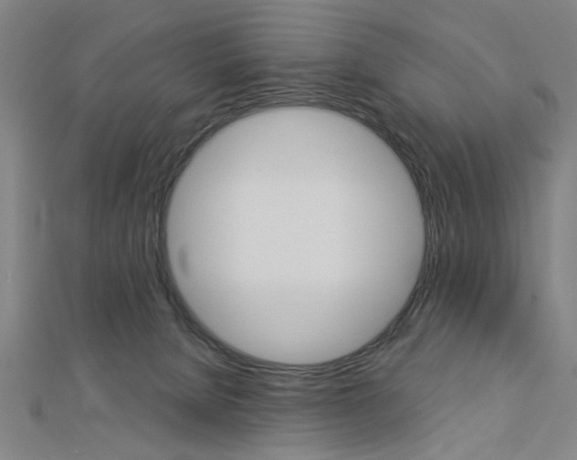 X0000112980080200908270927