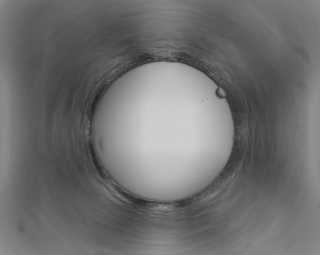 X0000112980081200908270927