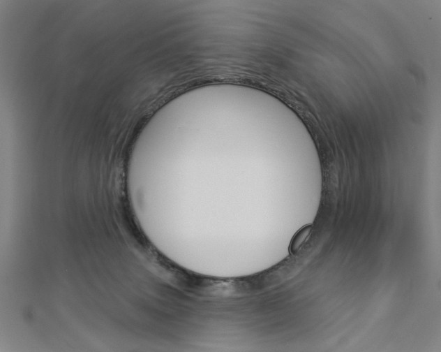X0000112980083200908270927