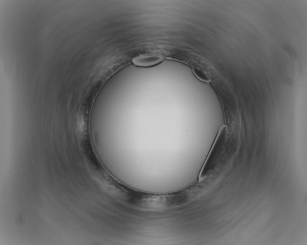 X0000112980084200908270927