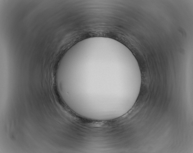 X0000112980086200908270927