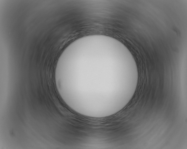 X0000112980088200908270927