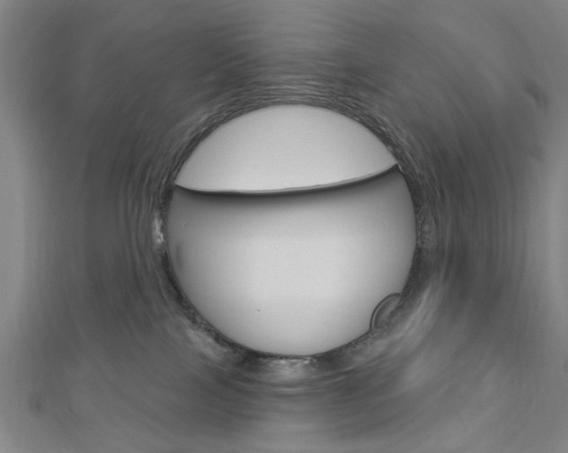 X0000112980089200908270927