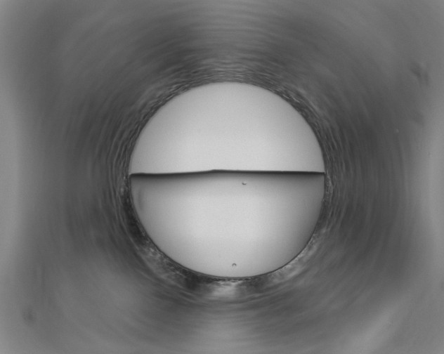 X0000112980090200908270927