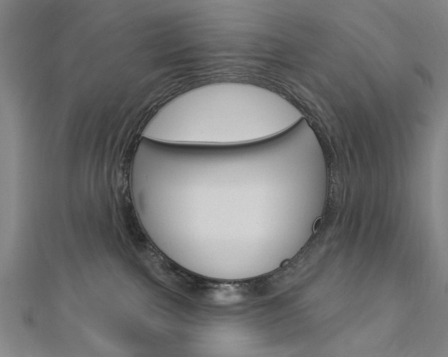 X0000112980091200908270927