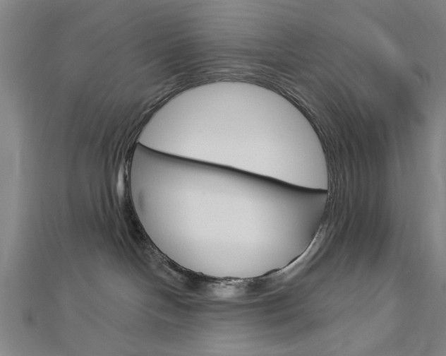X0000112980094200908270927