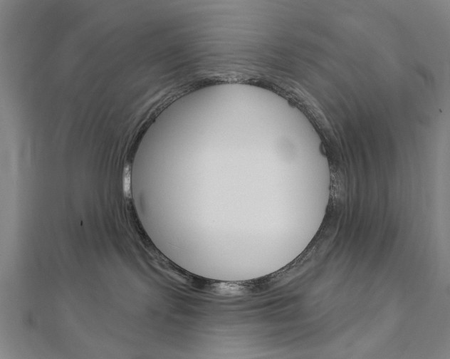 X0000112980095200908270927