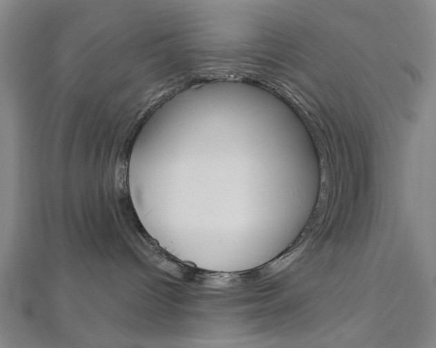 X0000112980096200908270927