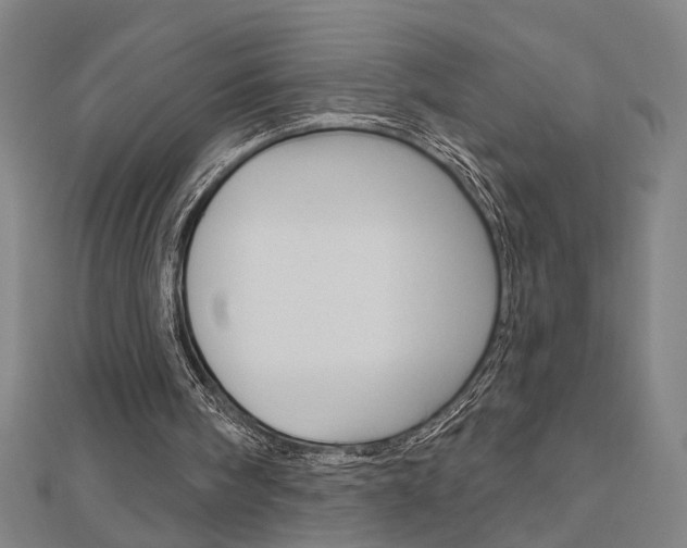 X0000112980098200908270927