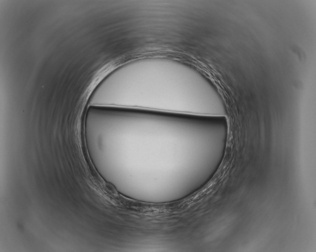 X0000112980099200908270927