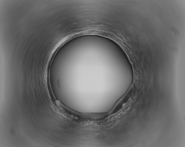 X0000112980100200908270927