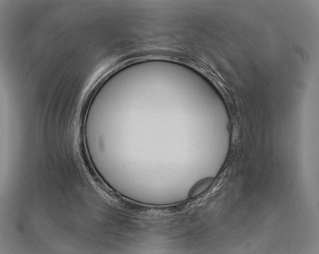 X0000112980101200908270927