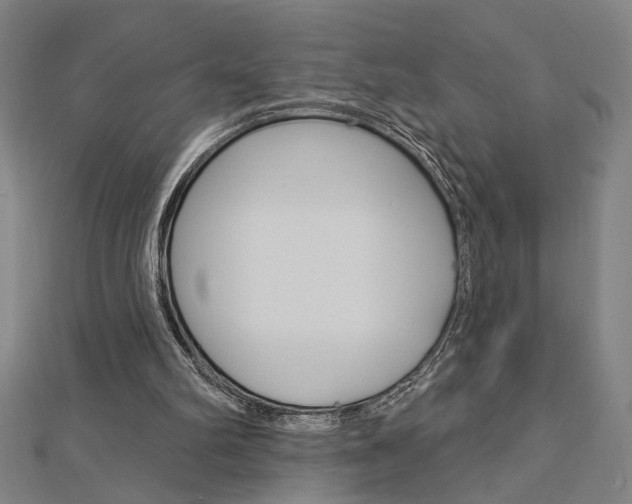 X0000112980102200908270927