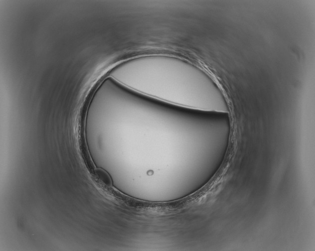 X0000112980103200908270927